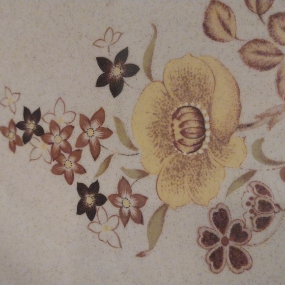 Retro Alpine Mountain Stoneware Collection “woodlands” floral vintage plates - Picture 2 of 9